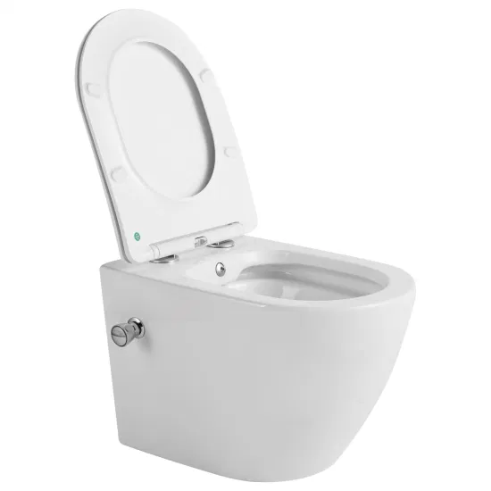 Wc cinese all'ingrosso con filigrana di ultimo design Inodoro WC sospeso standard europeo di alta qualità con bidet